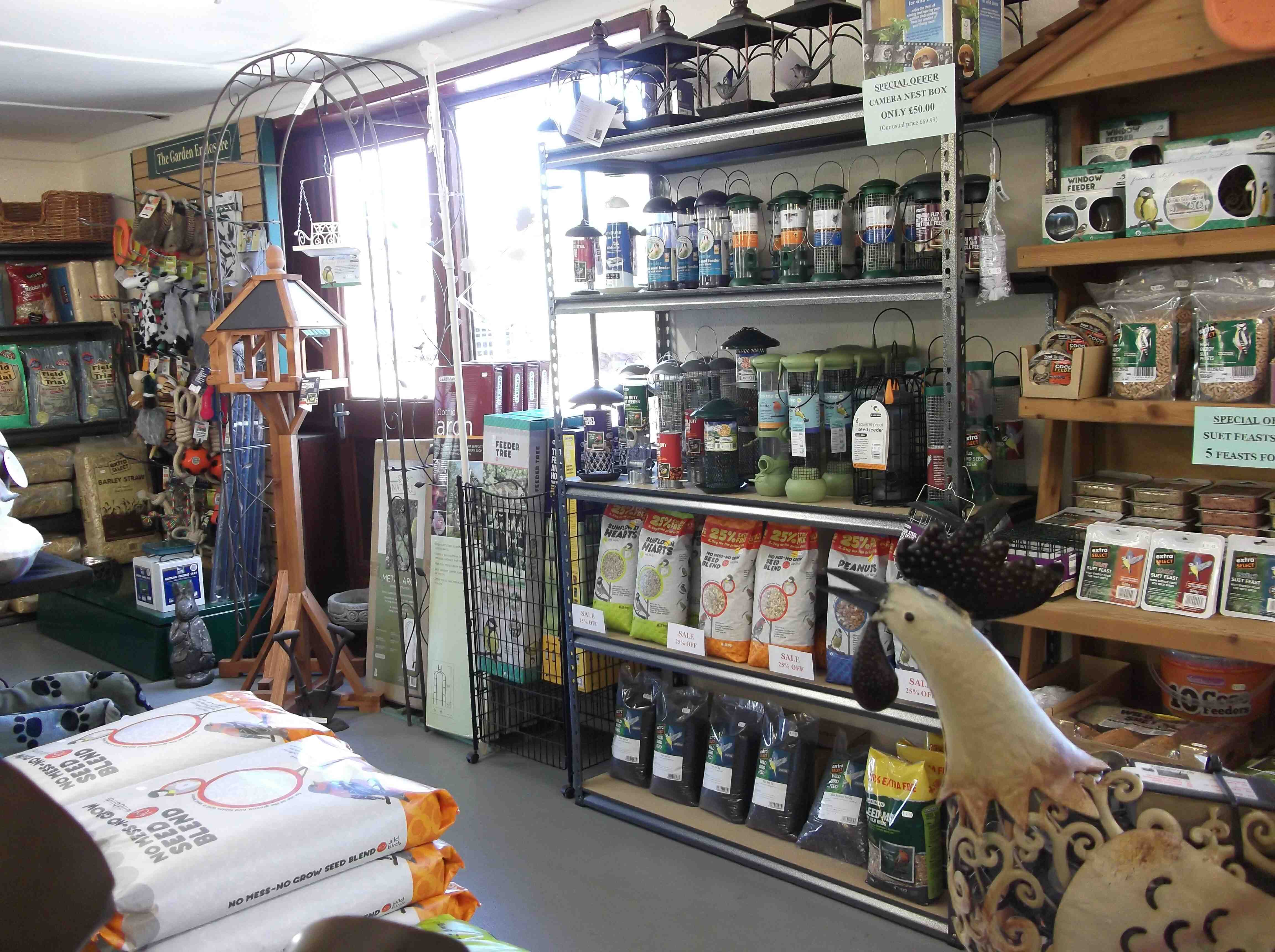 Bird food