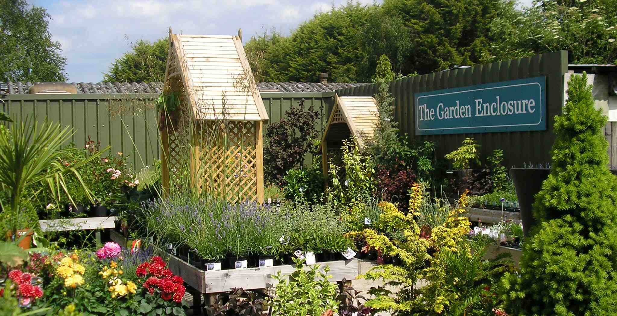 Plant area